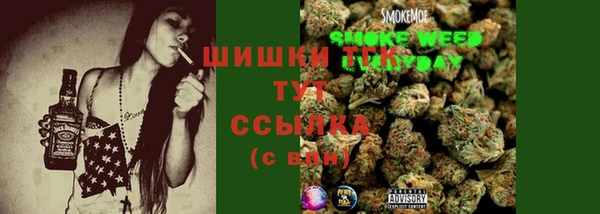 прущие грибы Зерноград