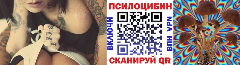 Псилоцибиновые грибы Psilocybine cubensis  Семёнов 